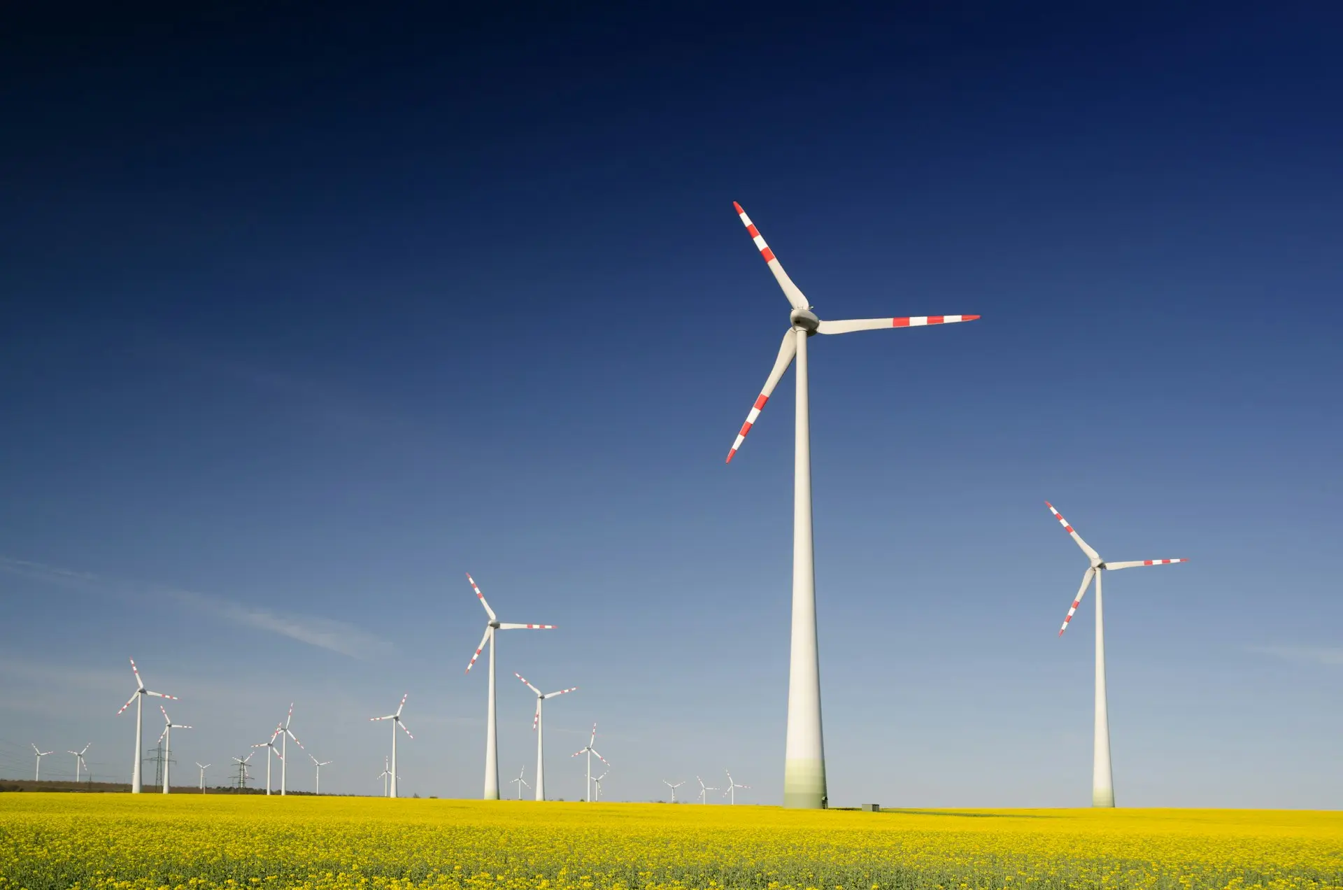windmills on grass field at daytime